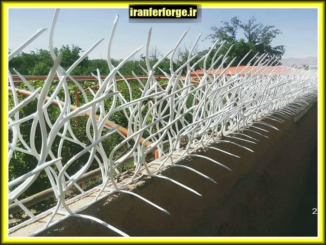قیمت حفاظ شاخ گوزنی چقدر است؟
