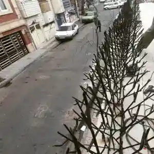 حفاظ بوته ای تراکم 67