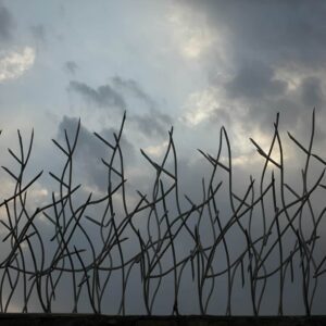 حفاظ شاخ گوزنی تراکم 22 اقتصادی