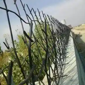 حفاظ شاخ گوزنی تراکم 34