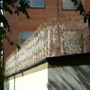 حفاظ لیلیوم