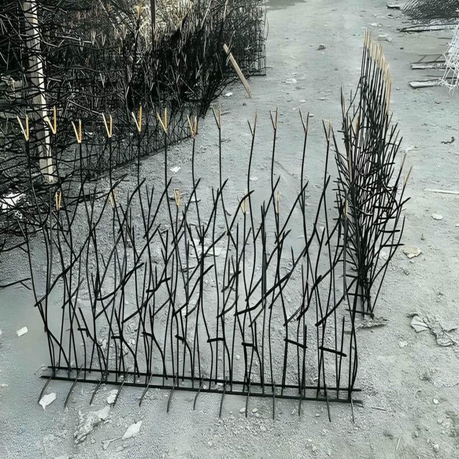 حفاظ شاخ کوزنی چیست