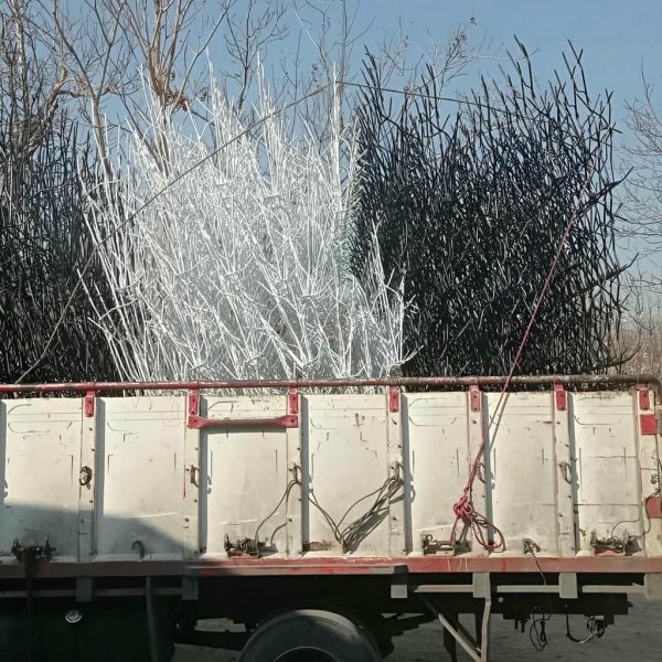 ساخت حفاظ شاخ گوزنی روی دیوار آپارتمانی و ویلا
