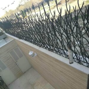 انواع مدل های حفاظ شاخ گوزنی