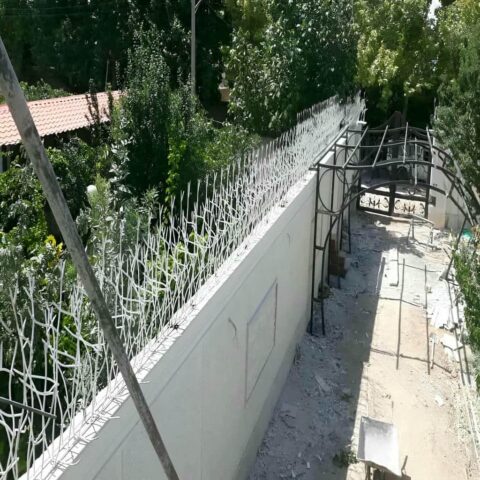 راهنمای خرید مدل شیک حفاظ شاخ گوزنی