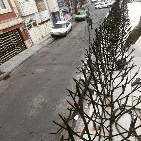 حفاظ بوته ای تراکم 67