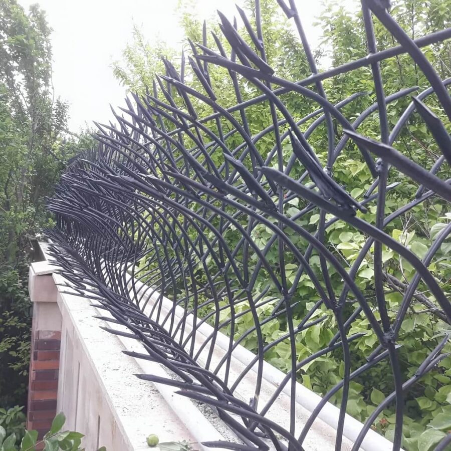 حفاظ غنچه ای