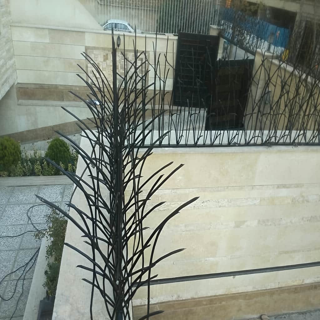 حفاظ دیواری نیزار