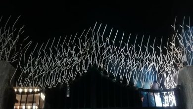 حفاظ شاخ گوزنی در کمال شهر