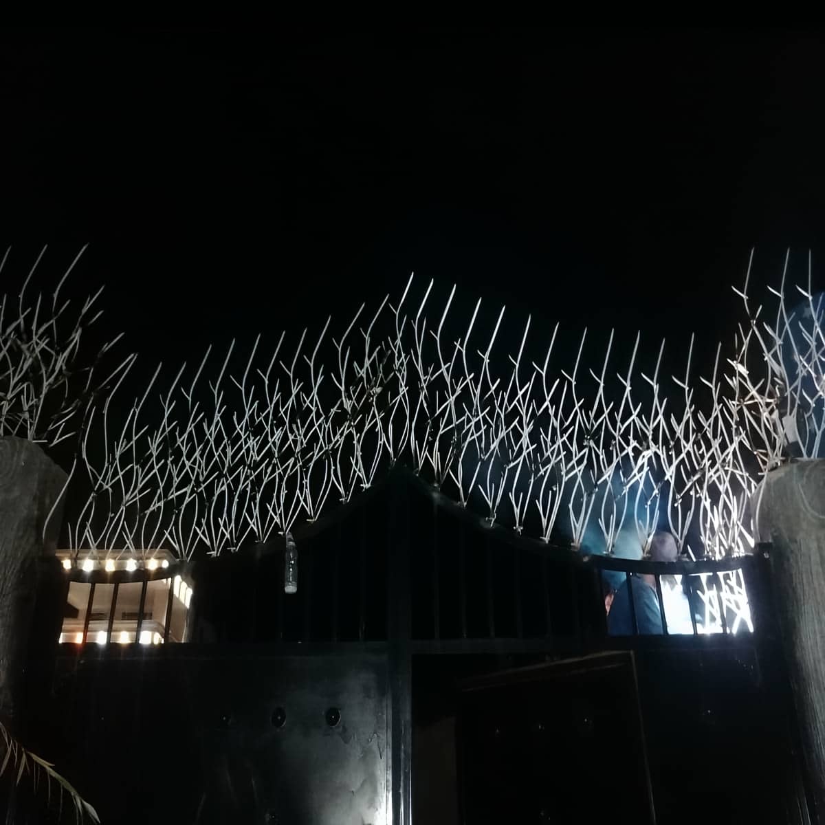 حفاظ شاخ گوزنی در کمال شهر
