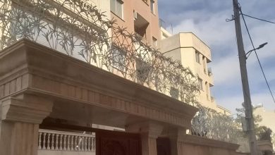 حفاظ شاخ گوزنی در ساوه