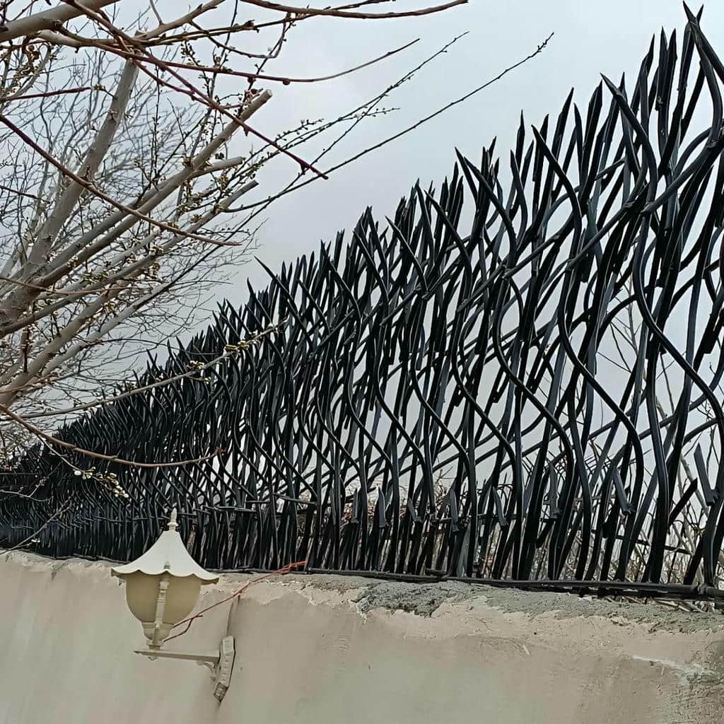 حفاظ شاخ گوزنی در آمل