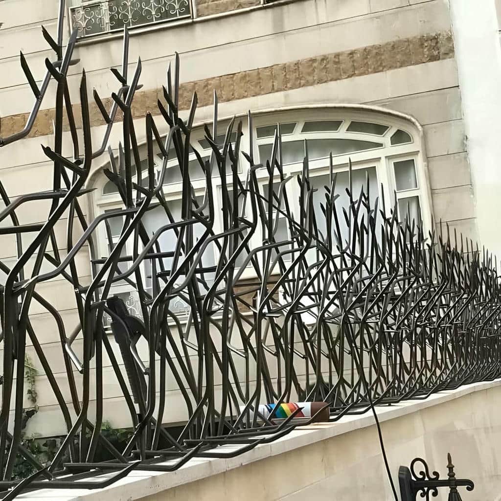 حفاظ شاخ گوزنی در کرج