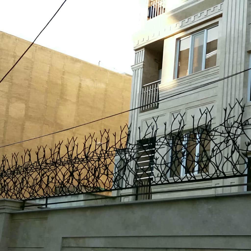 حفاظ شاخ گوزنی در بندر انزلی