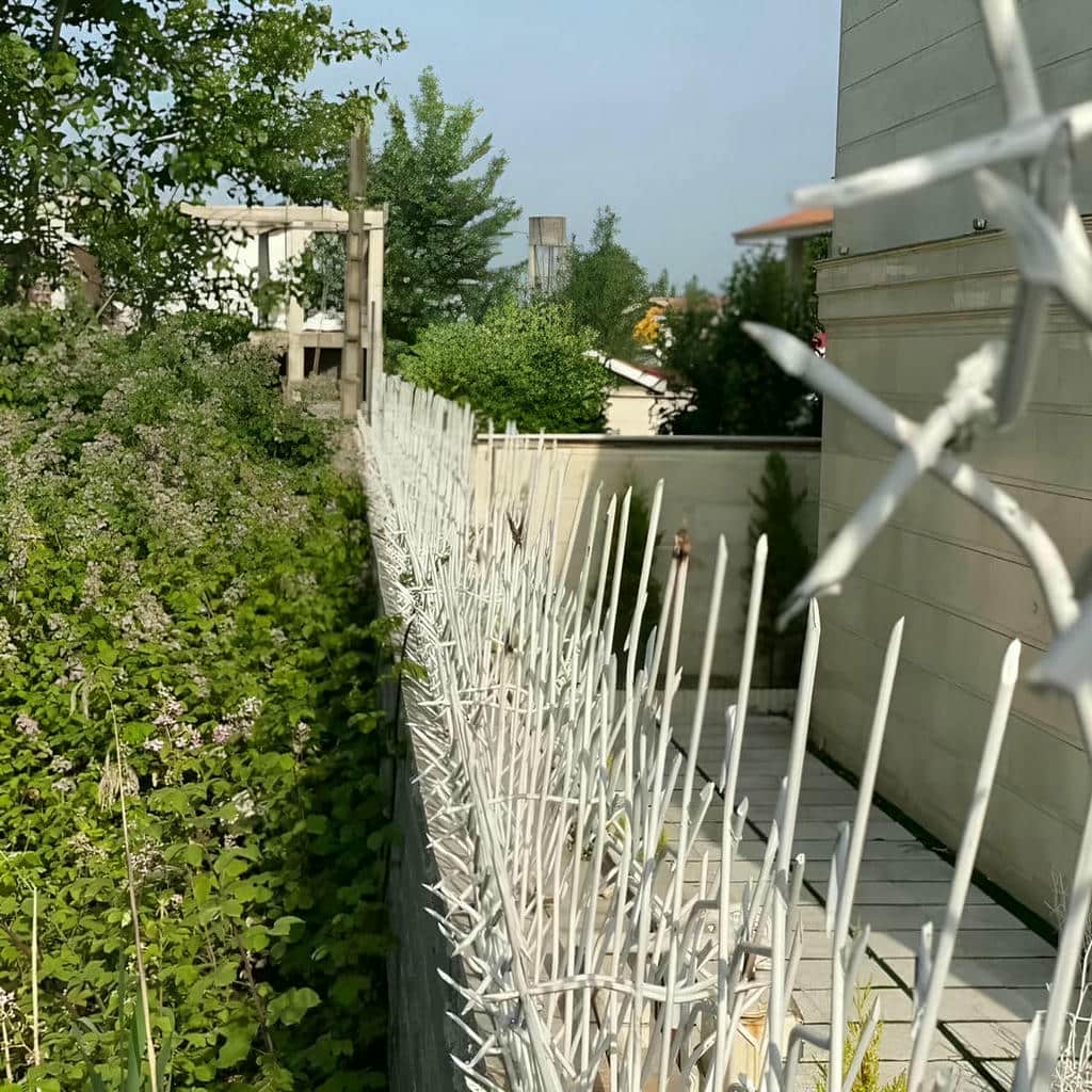 نرده حفاظ شاخ گوزنی در اراک
