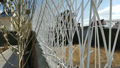 حفاظ شاخ گوزنی در مهرشهر کرج