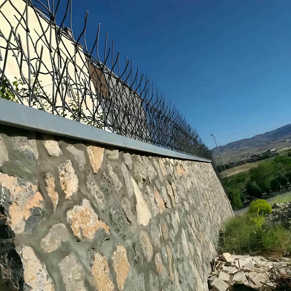 حفاظ شاخ گوزنی در قشم