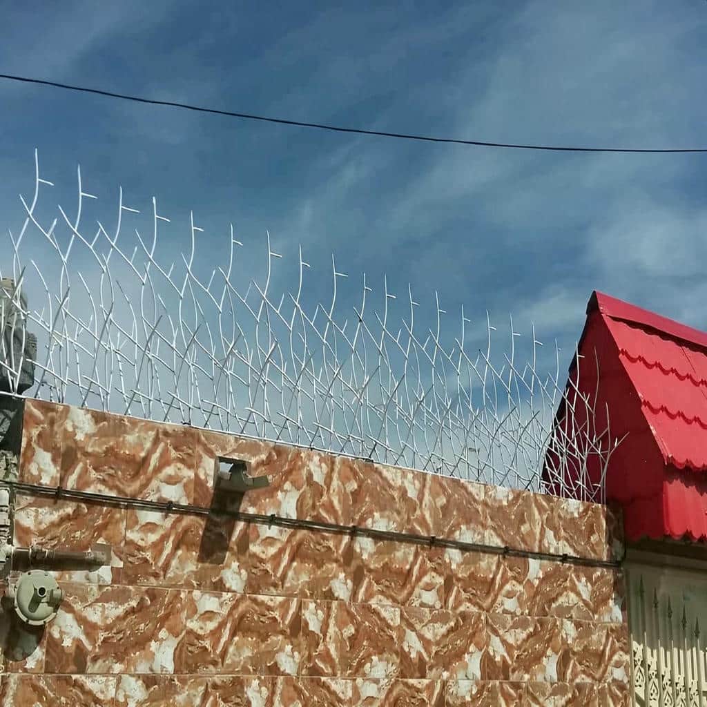 خرید حفاظ شاخ گوزنی تراکم متعادل در بندر لنگه