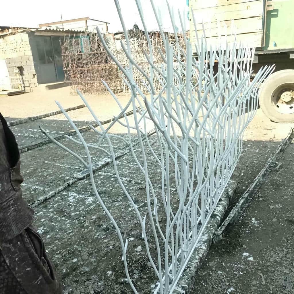 نصب حفاظ شاخ گوزنی ساختار مقاوم در قشم