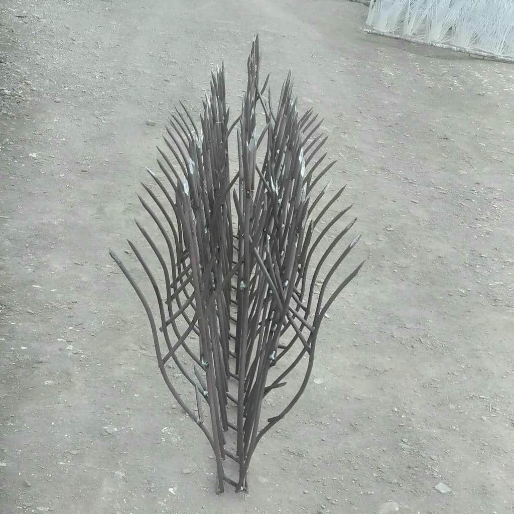 حفاظ شاخ گوزنی در استان مازندران