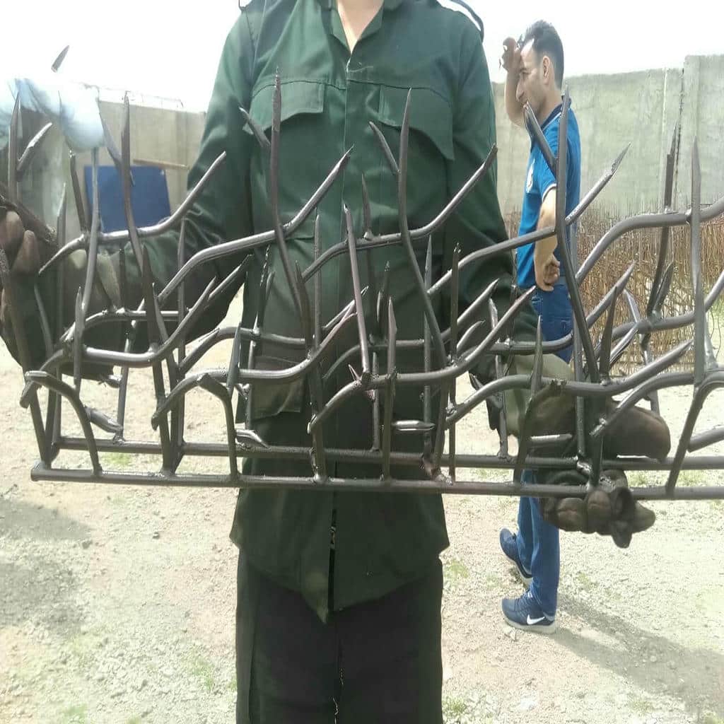 حفاظ شاخ گوزنی در گنبدکاووس
