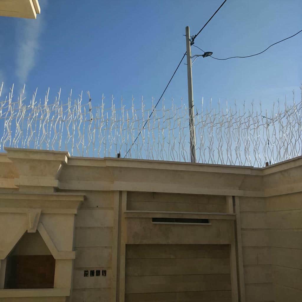 حفاظ شاخ گوزنی در بومهن