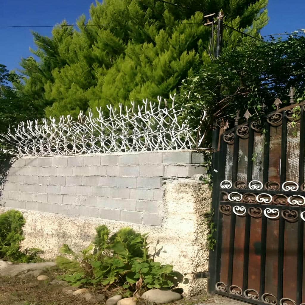 حفاظ شاخ گوزنی با ارتفاع مناسب برای دیوار