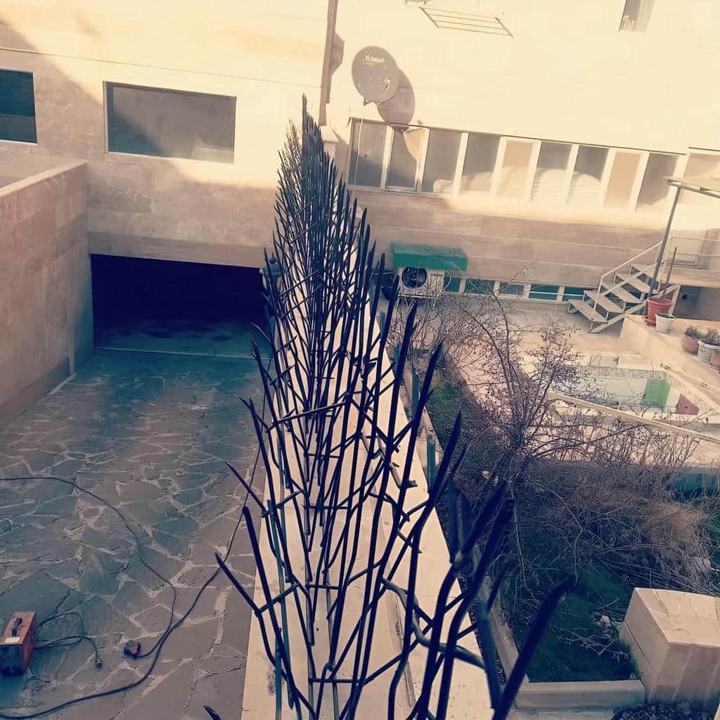 حفاظ شاخ گوزنی در تبریز