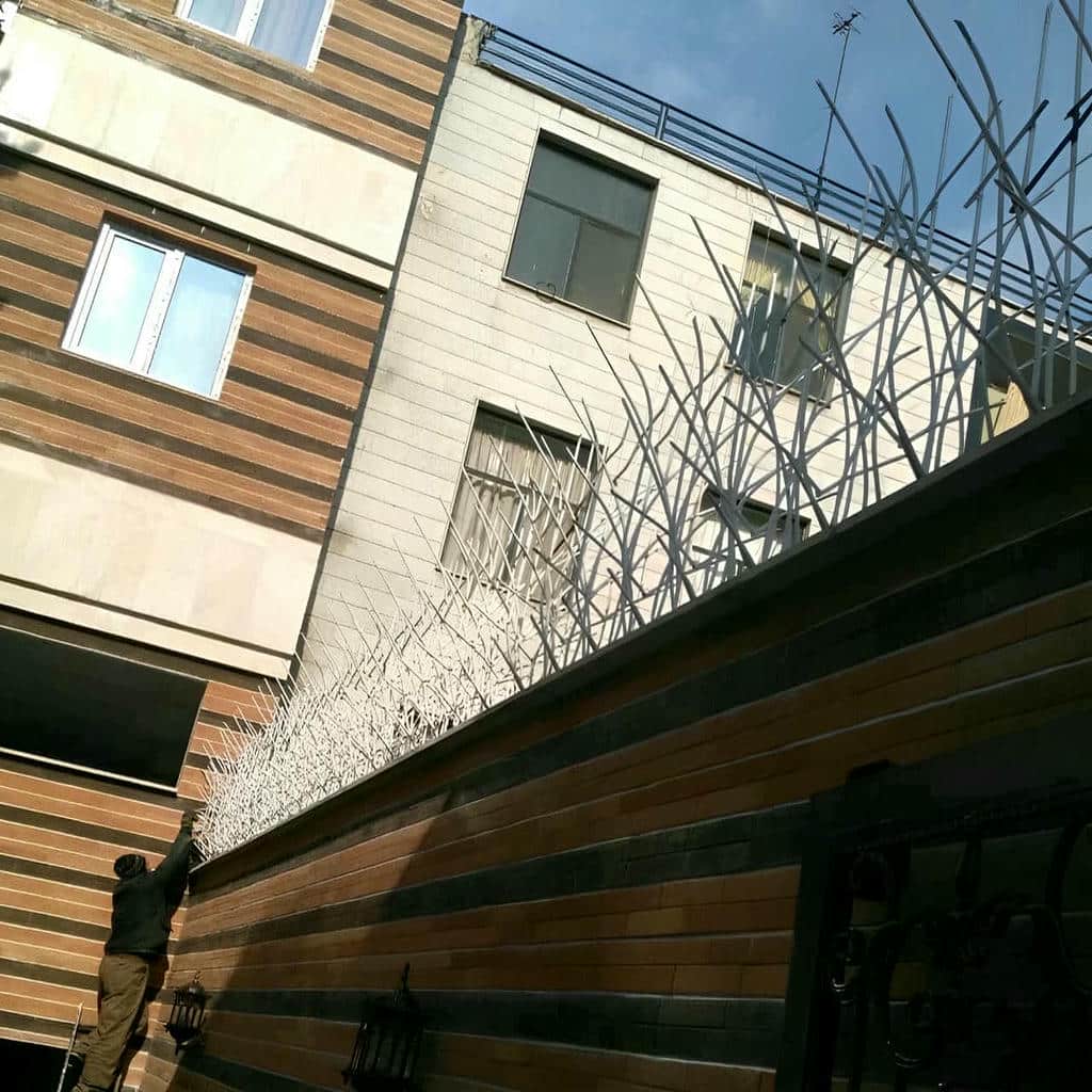 قیمت حفاظ شاخ گوزنی شاخه تیز در گرگان