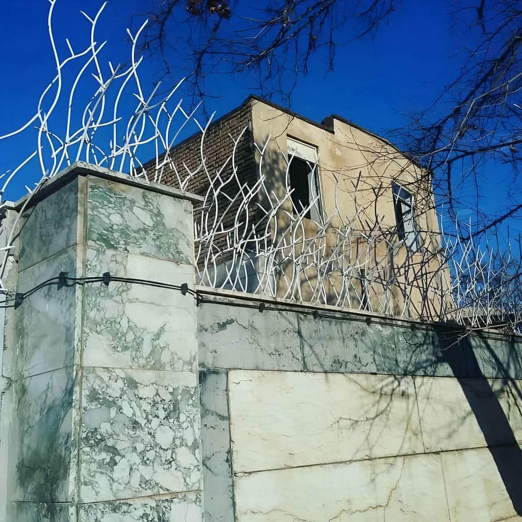 حفاظ شاخ گوزنی در استان گیلان