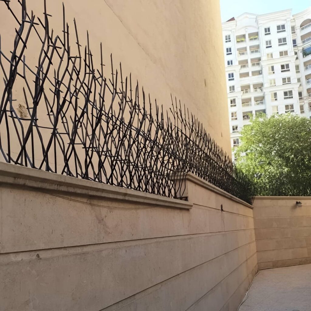 خرید حفاظ شاخ گوزنی دیوار باغ با مشاوره