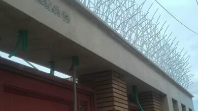 7 مدل حفاظ بوته ای دیوار پرتراکم