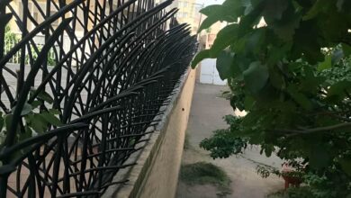 9 نمونه حفاظ نیزار دیوار باغ