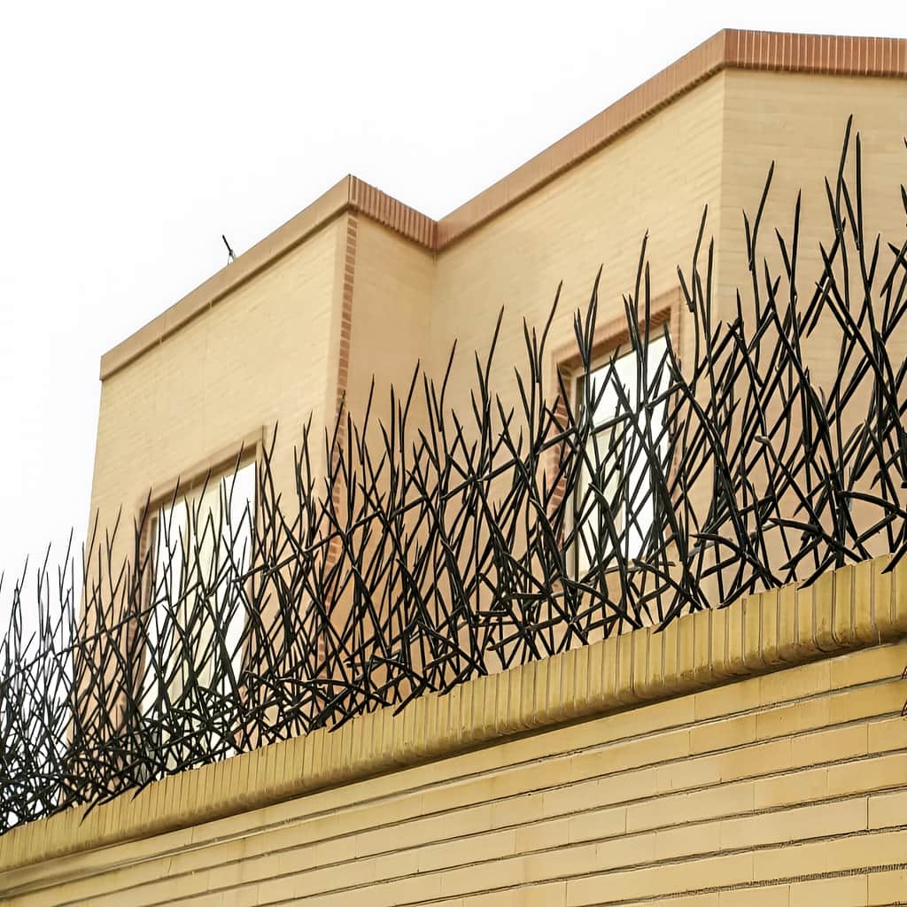 حفاظ بوته ای روی دیوار ساختمان