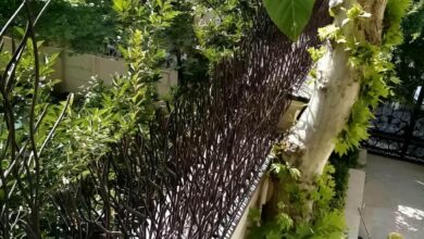 حفاظ دیوار فلزی با مدل شاخ گوزنی برای خانه