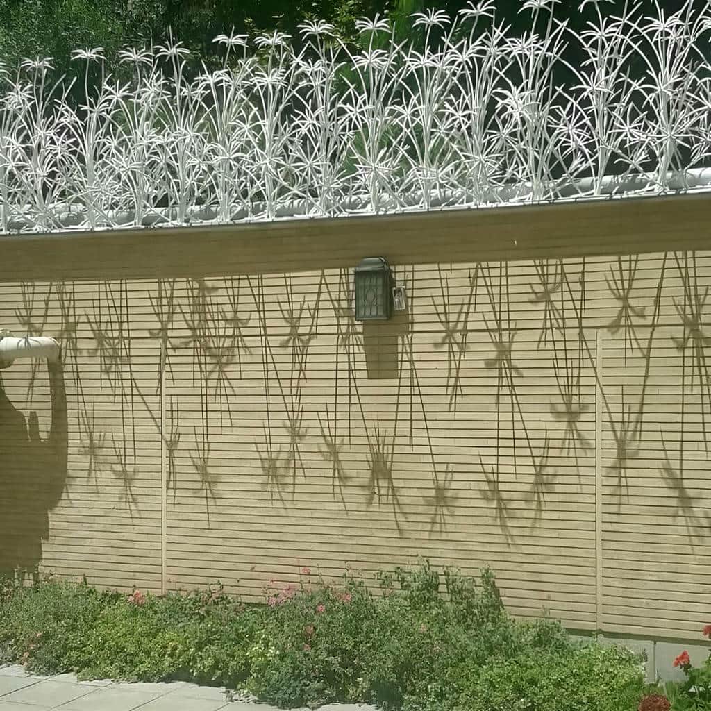 مرکز فروش تخصصی حفاظ نخل مرداب برای سفارش اینترنتی و ارسال به شهرستان